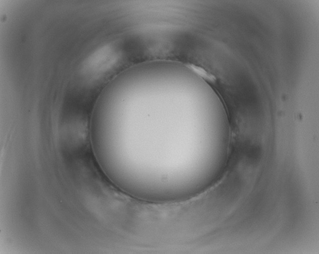 X0000070430033200606231929