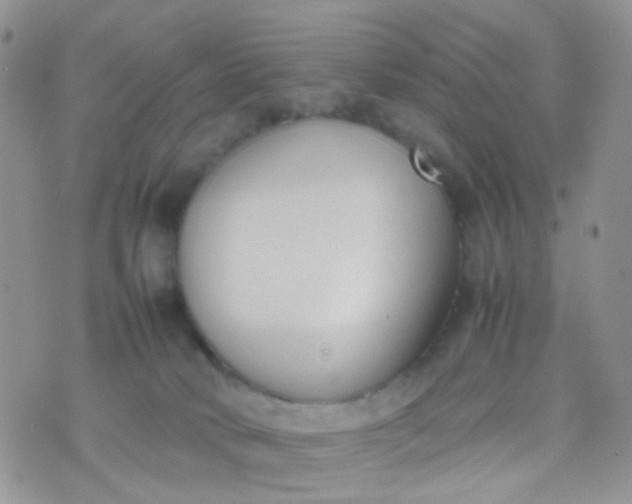 X0000070430034200606231929