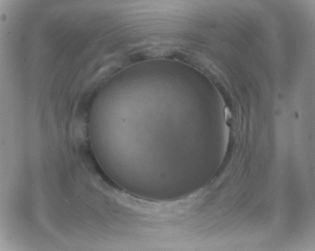 X0000070430035200606231929