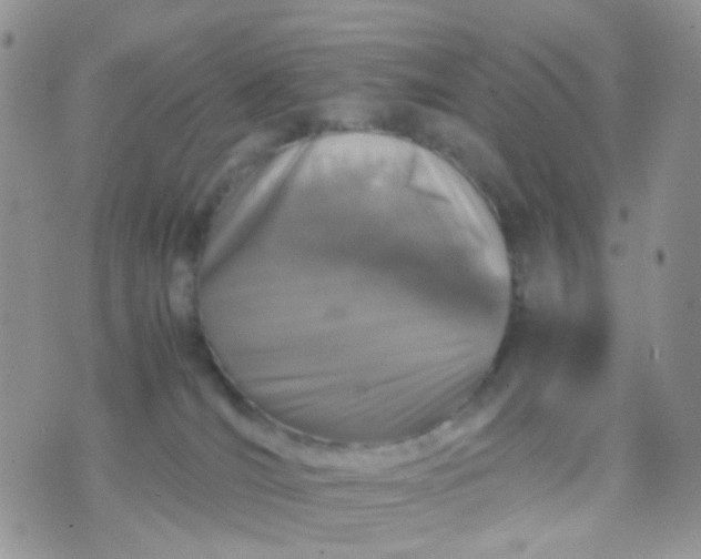 X0000070430036200606231929