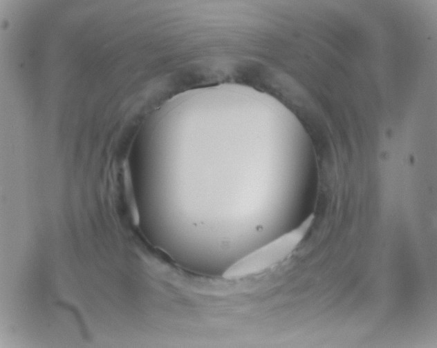 X0000070430037200606231929