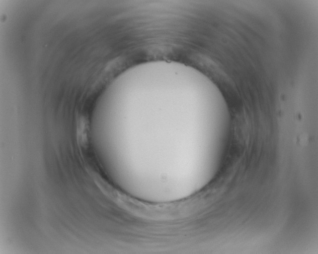 X0000070430038200606231929