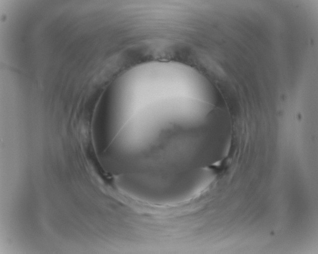 X0000070430039200606231929