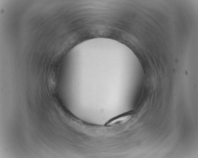 X0000070430040200606231929