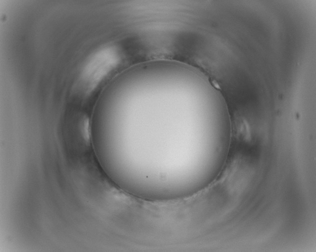 X0000070430041200606231929