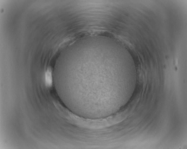 X0000070430042200606231929