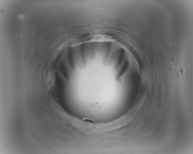 X0000070430043200606231929