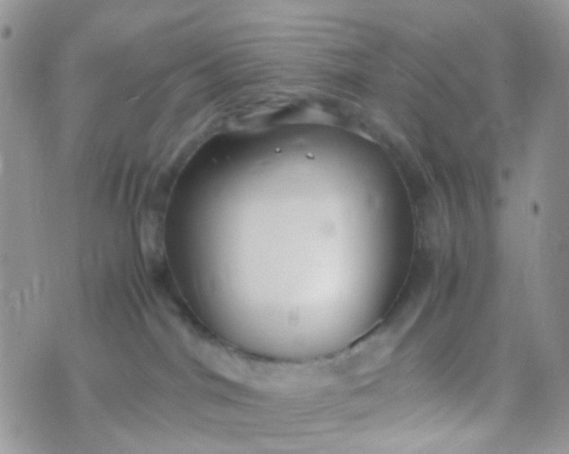 X0000070430044200606231929