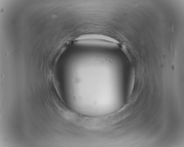 X0000070430045200606231929