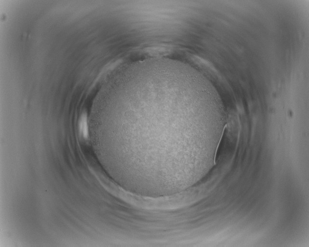 X0000070430046200606231929