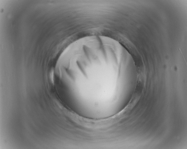 X0000070430047200606231929