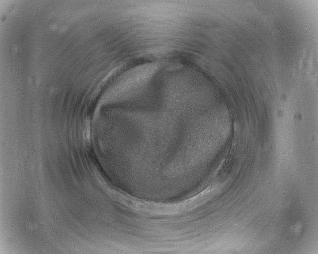 X0000070430048200606231929