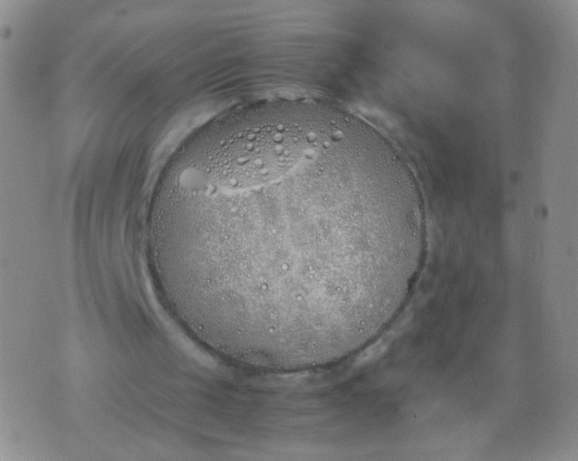 X0000070430049200606231928