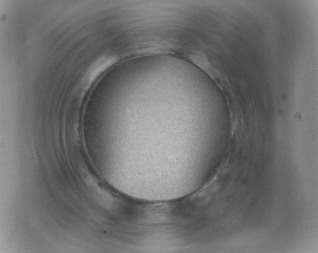 X0000070430050200606231928