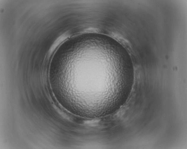 X0000070430051200606231928