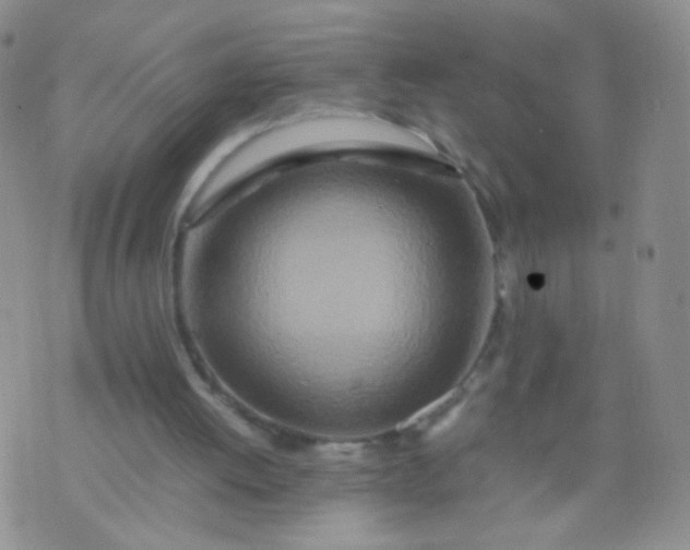 X0000070430052200606231928