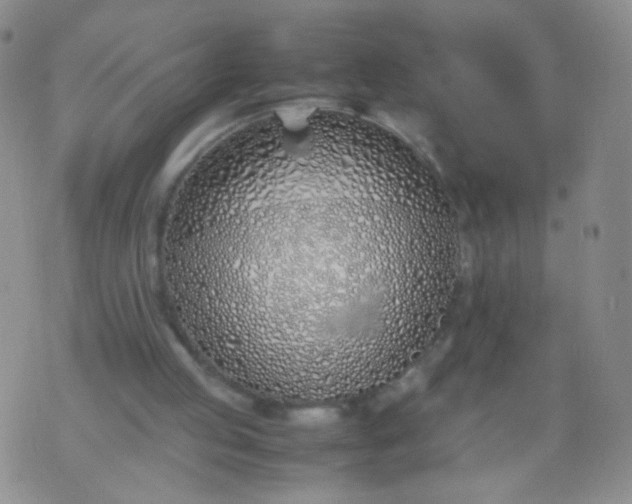 X0000070430053200606231928