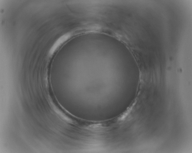 X0000070430054200606231928