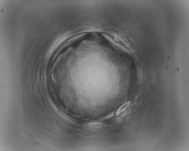 X0000070430055200606231928