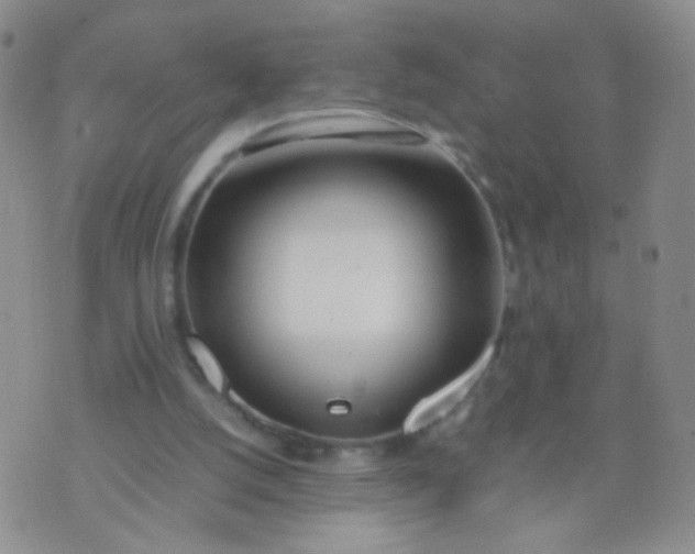 X0000070430056200606231928