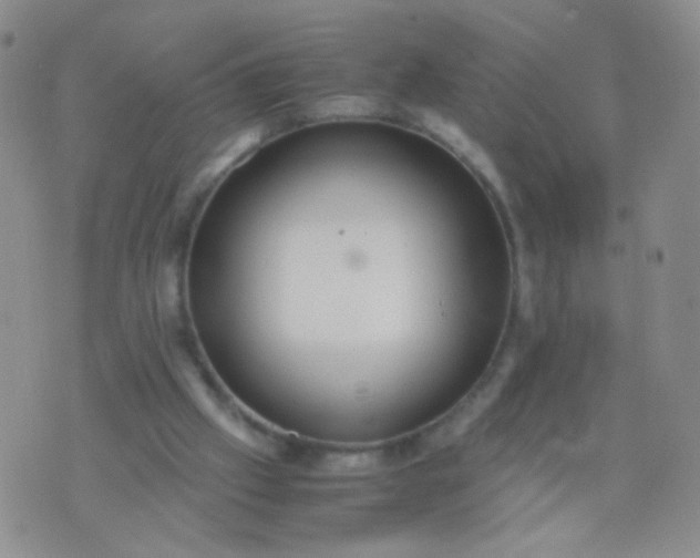 X0000070430057200606231928