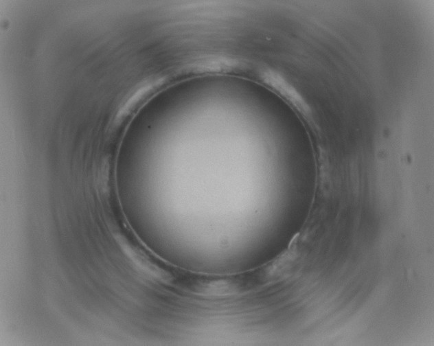 X0000070430058200606231928