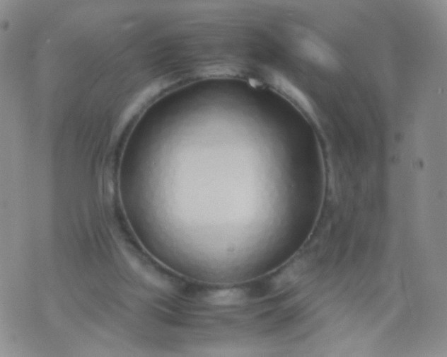 X0000070430059200606231928