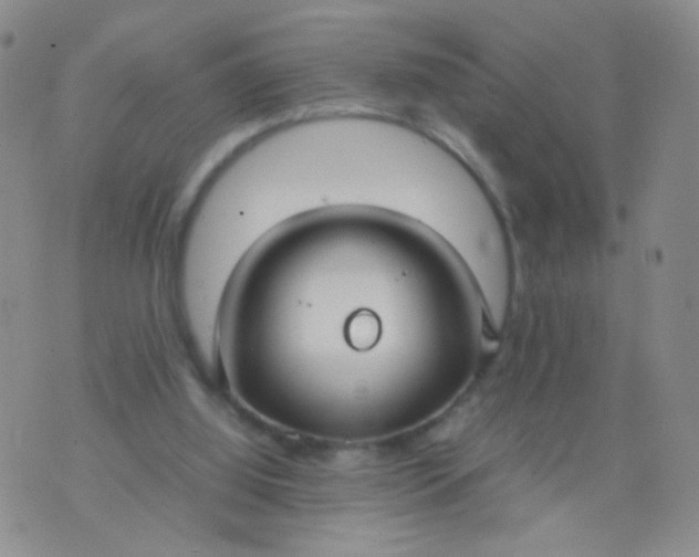 X0000070430060200606231928