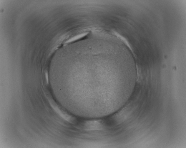 X0000070430061200606231928