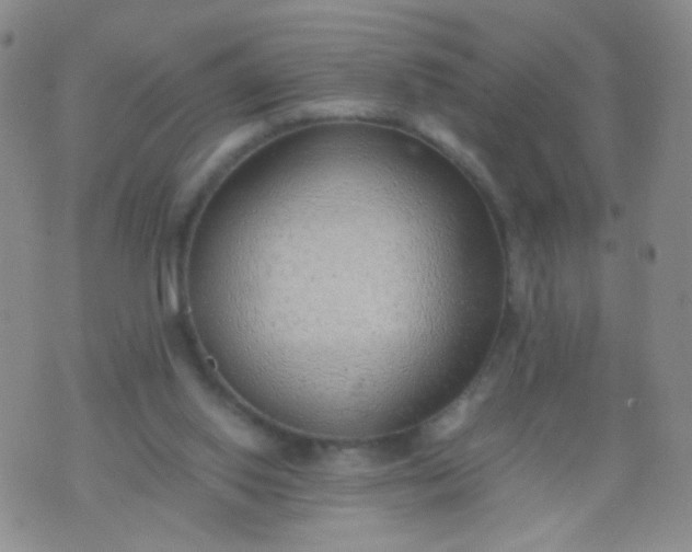 X0000070430062200606231928