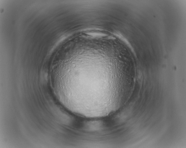 X0000070430063200606231928