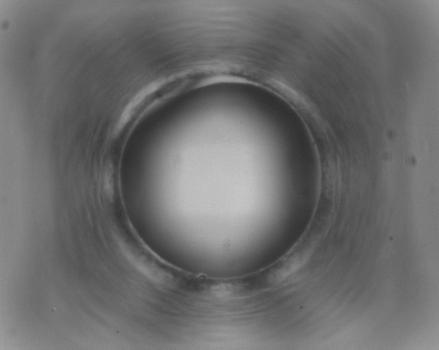 X0000070430064200606231928