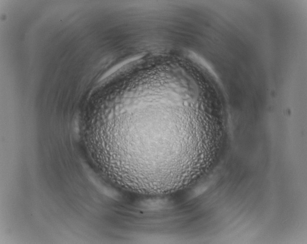 X0000070430065200606231928