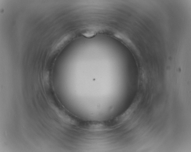 X0000070430066200606231928