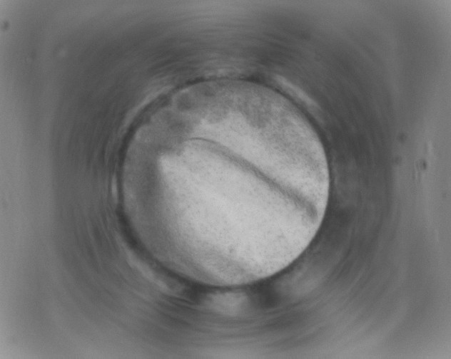 X0000070430067200606231928