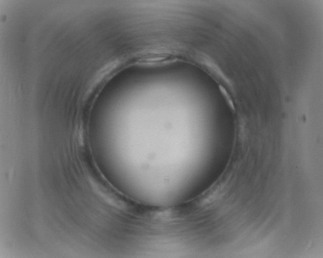 X0000070430068200606231928