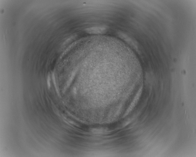 X0000070430069200606231928