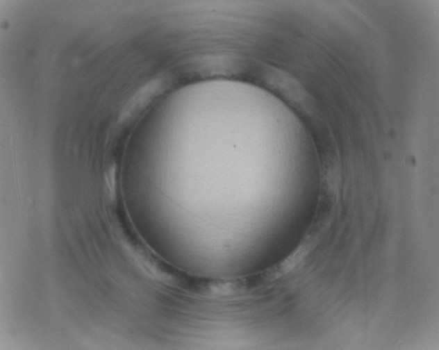 X0000070430070200606231928