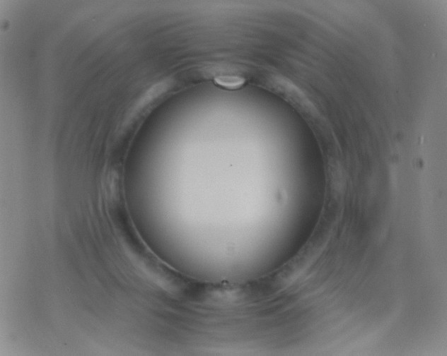 X0000070430071200606231928