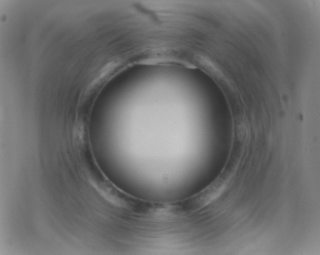 X0000070430072200606231928