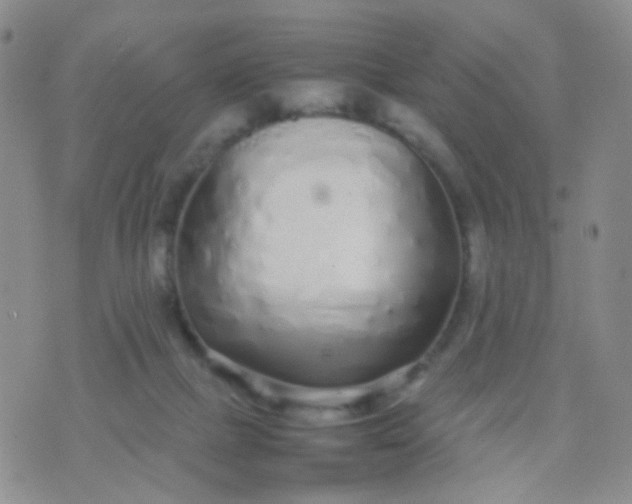 X0000070430073200606231928