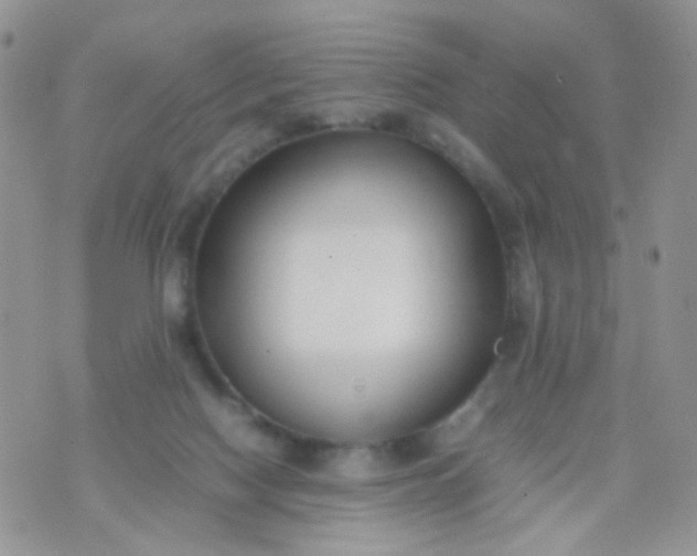 X0000070430074200606231928