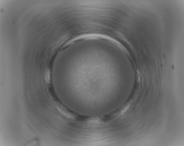 X0000070430076200606231928