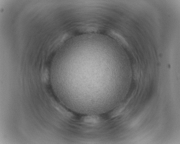 X0000070430077200606231928