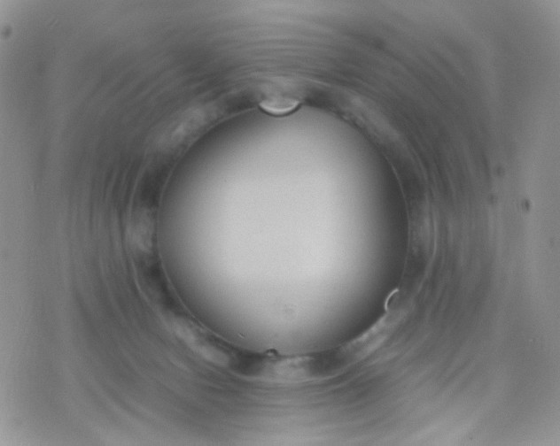 X0000070430078200606231928