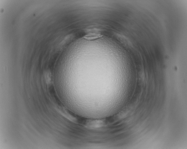 X0000070430081200606231928