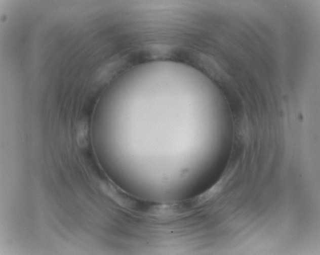 X0000070430082200606231928