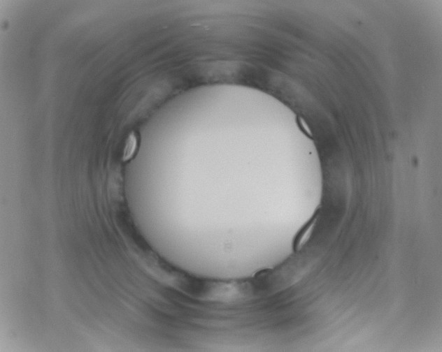 X0000070430083200606231928