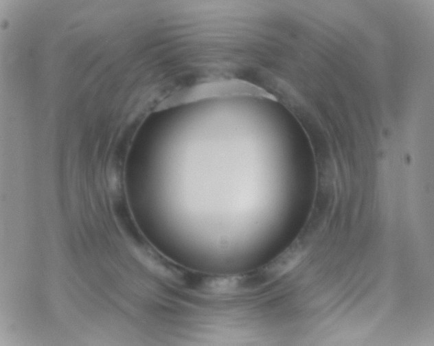 X0000070430084200606231928