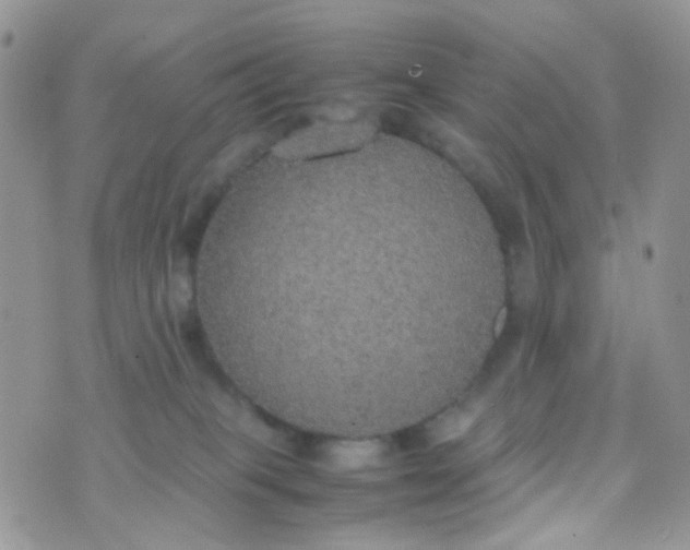 X0000070430085200606231929